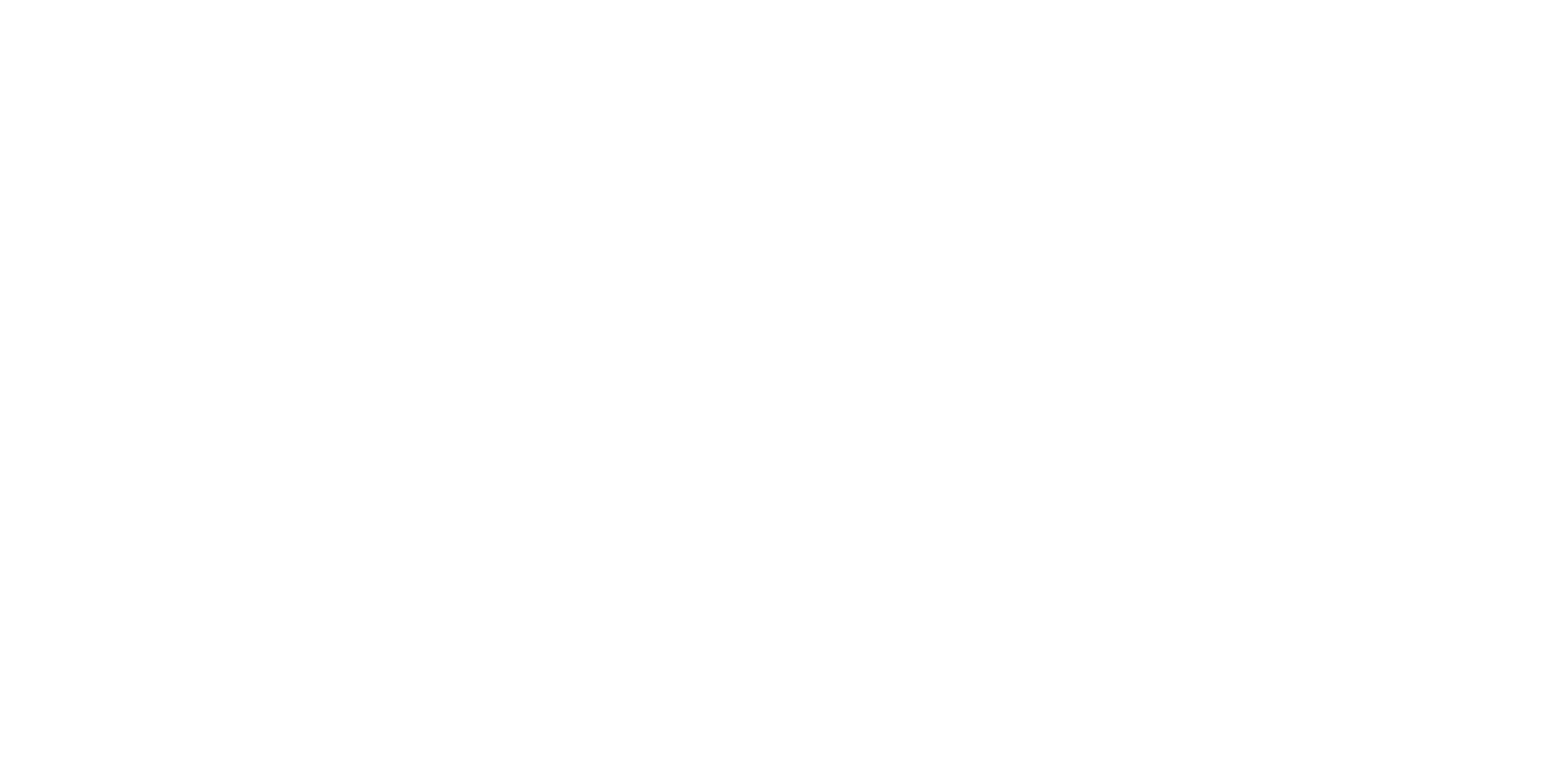 noizu logo