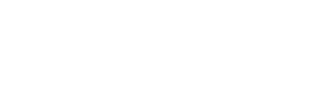 Noizucon Logo 2025 WHT